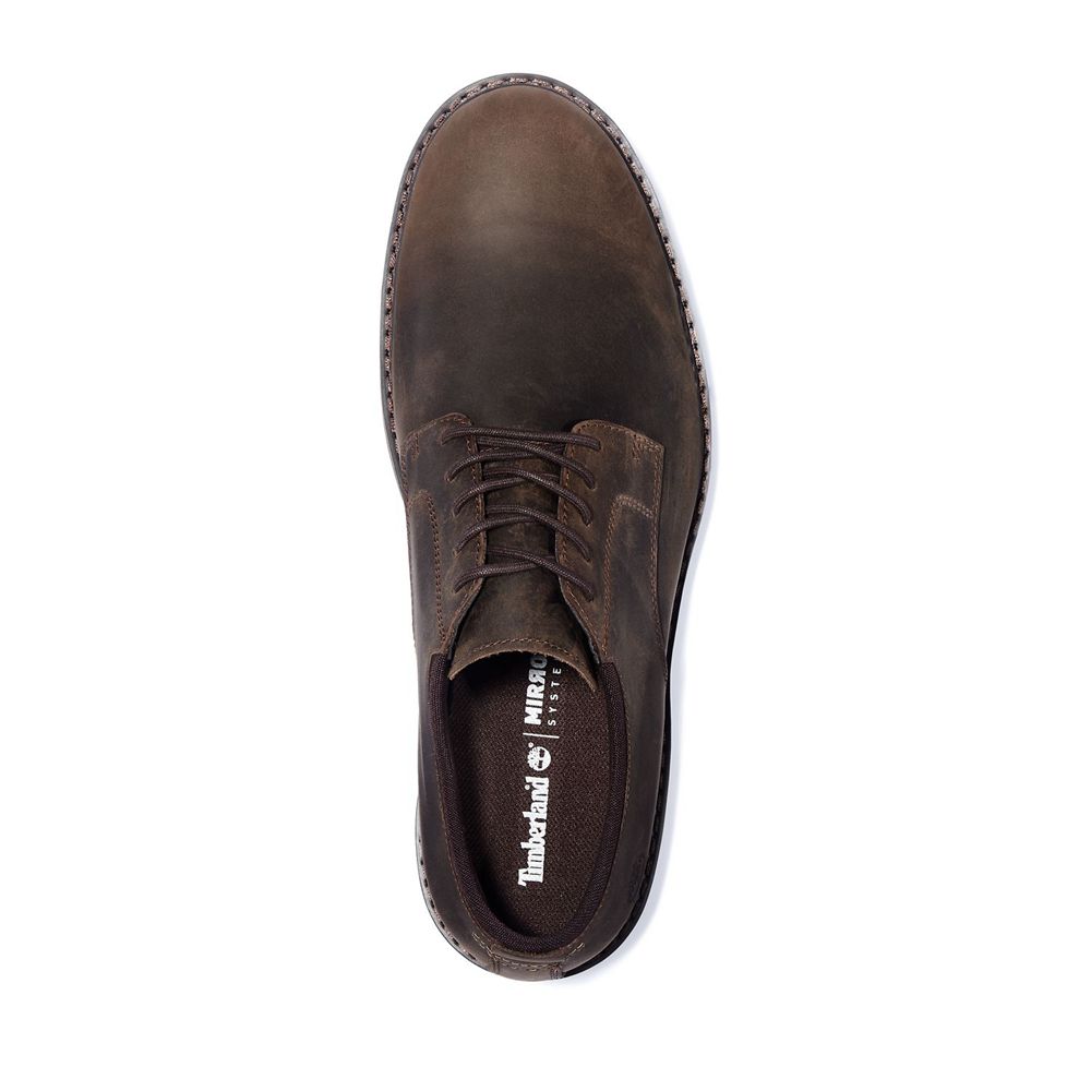 Pantofi Oxford Timberland Barbati Maro Inchis - Squall Canyon Waterproof - Romania - DGFJHK306